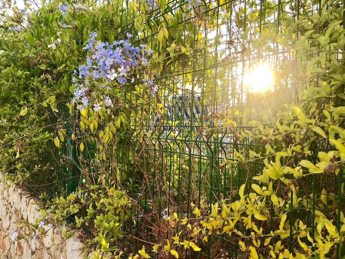 Апартаменти Marina Garden By Ethnic Ocean Віламора Екстер'єр фото